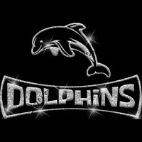 GLT94 SILVER GLITTER Thumbnail